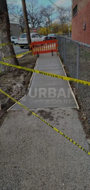 Tree Root Sidewalk Repair NYC